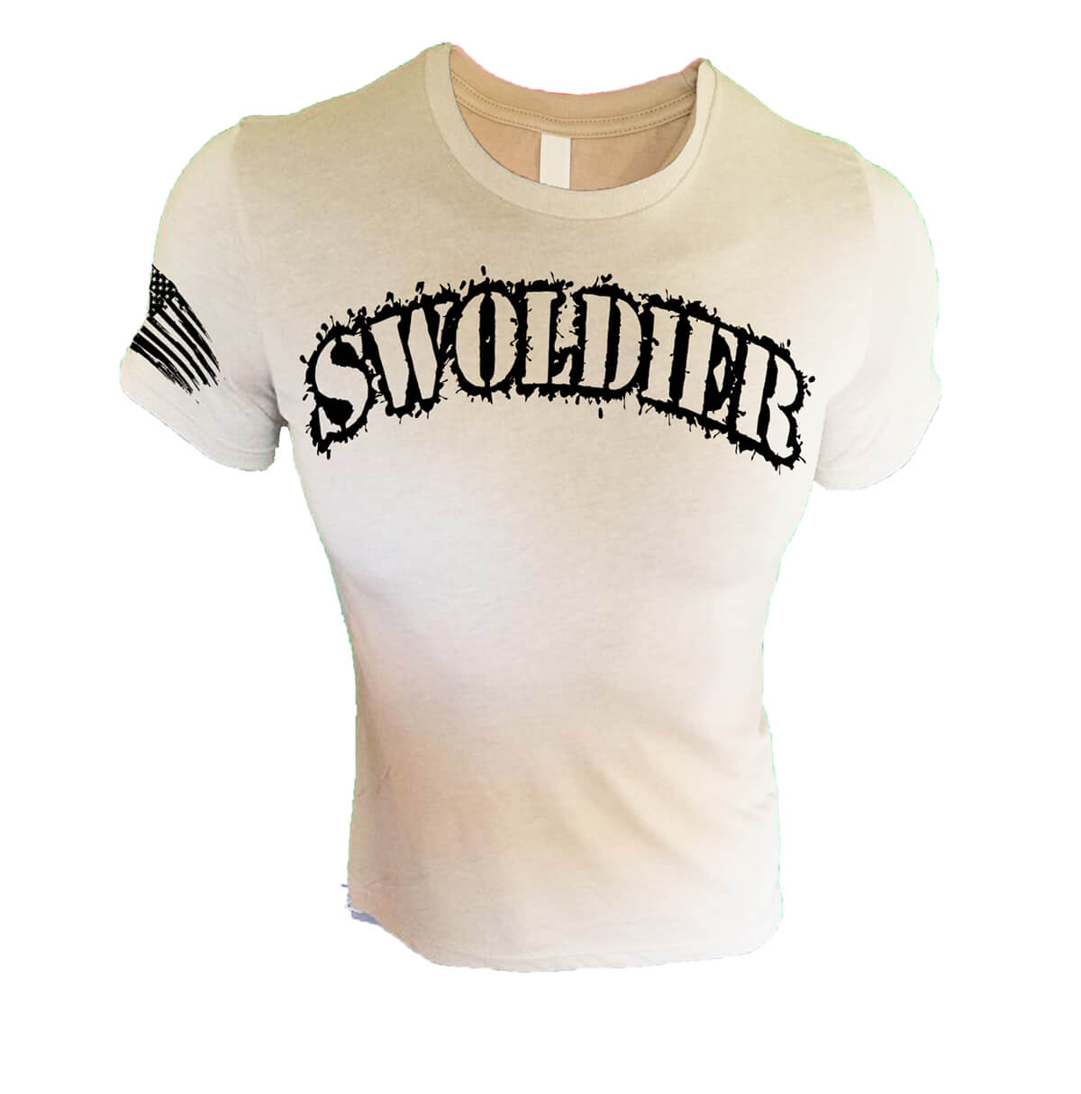 Iron Gods Military Muscle Swoldier Workout T-Shirt