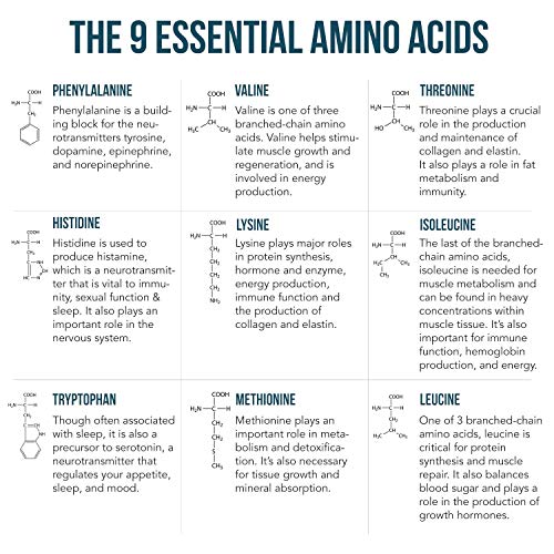Plant Aminos Organic Essential Amino Acids (EAAs) & BCAA - 100% Plant-Based Raw, Vegan - All 9 Essential Amino Acids with 18 Total Amino Acids (360 Tablets)
