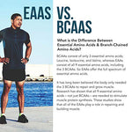 Plant Aminos Organic Essential Amino Acids (EAAs) & BCAA - 100% Plant-Based Raw, Vegan - All 9 Essential Amino Acids with 18 Total Amino Acids (360 Tablets)